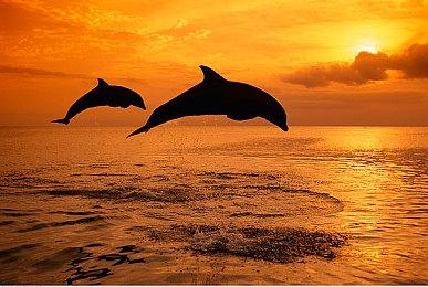 吉田直树：SE打算未来在Xbox平台同步发售游戏